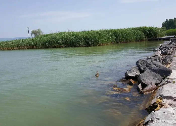 Apartament Lelle B21